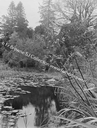 POWERSCOURT GROUNDS POOL